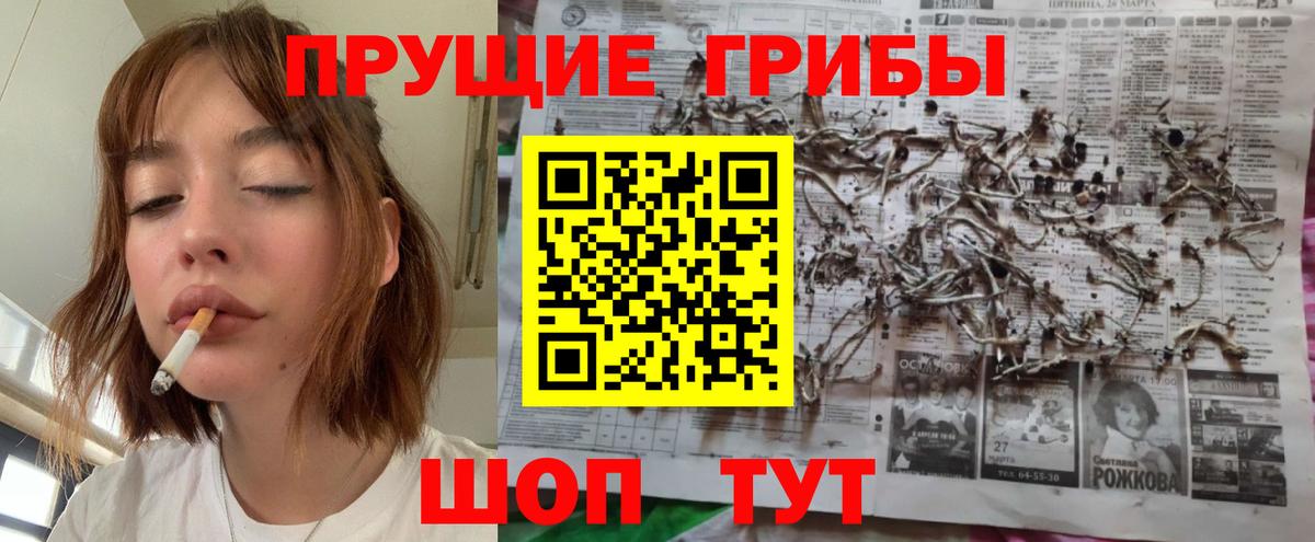 Псилоцибиновые грибы Magic Shrooms Карасук