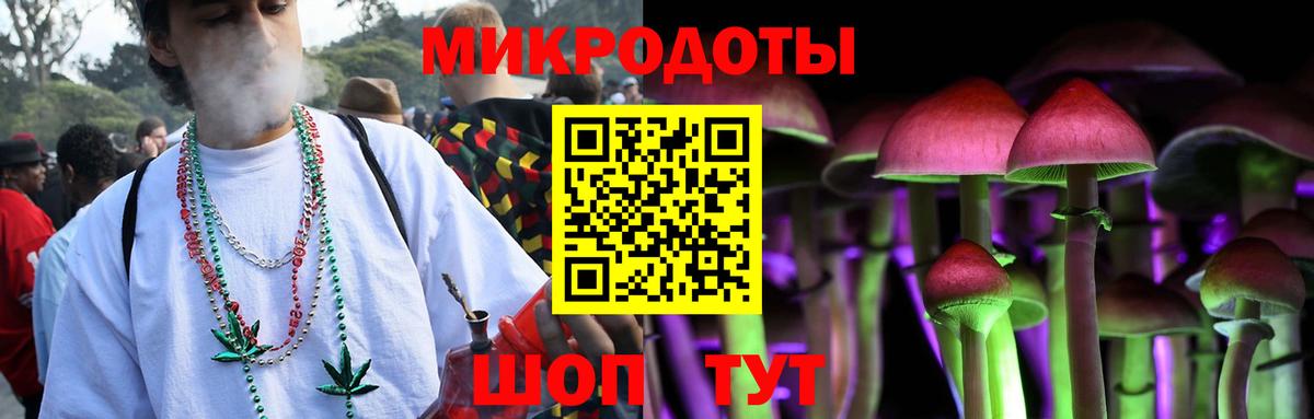 Галлюциногенные грибы Psilocybine cubensis  Вход с VPN  Карасук 